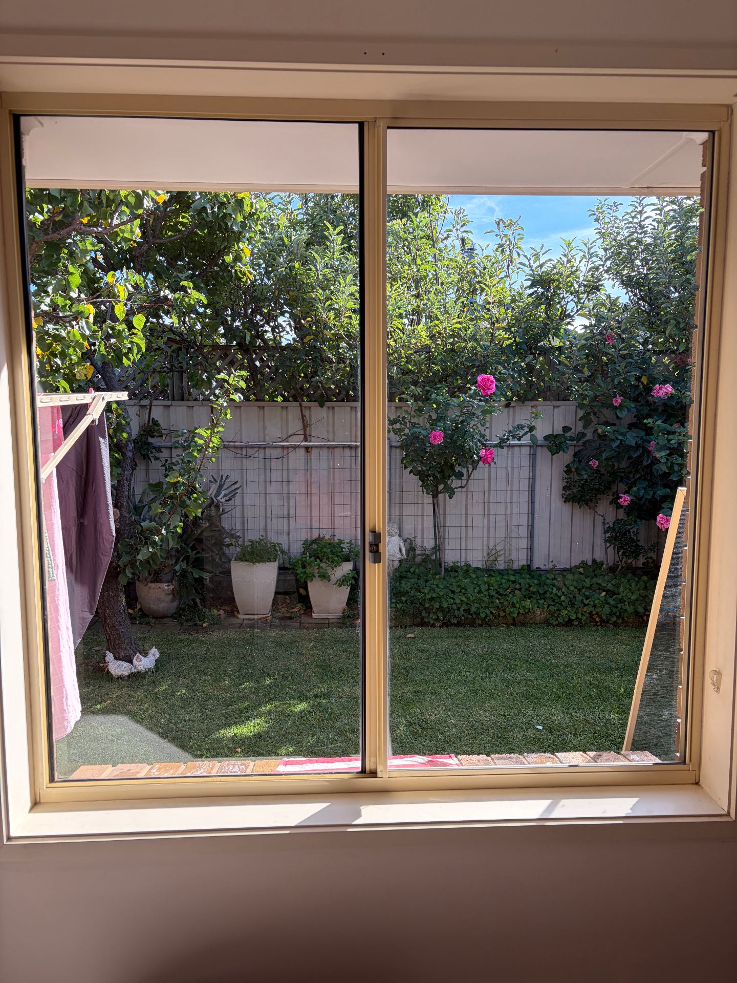 Sliding garden doors — after cleaning